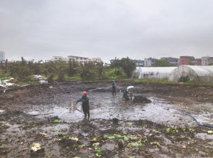 万州河道鱼塘清淤